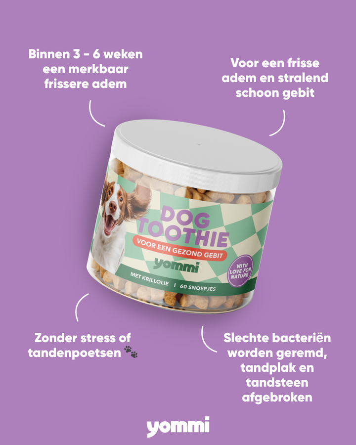 Yommi Dog Toothie voor frisse adem en schoon gebit bij honden – foto 2