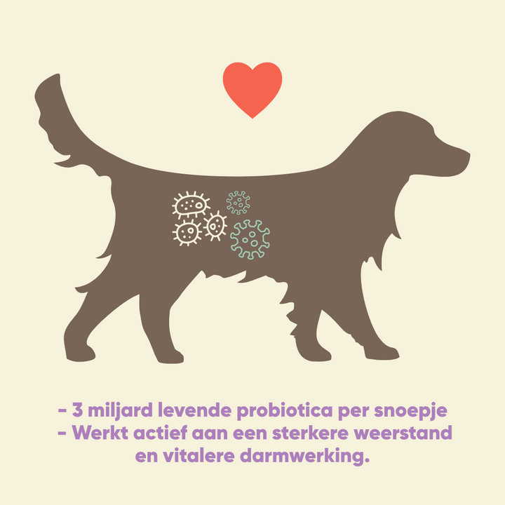 Yommi Happy Tummy probiotica snoepjes voor de spijsvertering van honden – foto 2