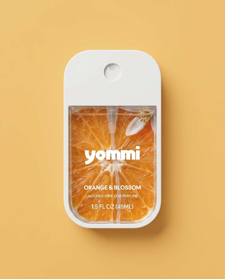 Yommi hondenparfum Orange & Blossom – flatlay met flesje en verpakking