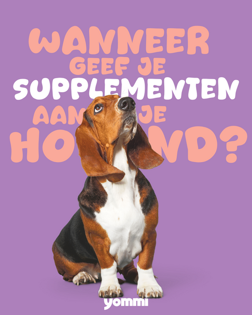 Yommi Bye Bugs anti-vlooien- en tekensnoepjes voor honden – foto 2