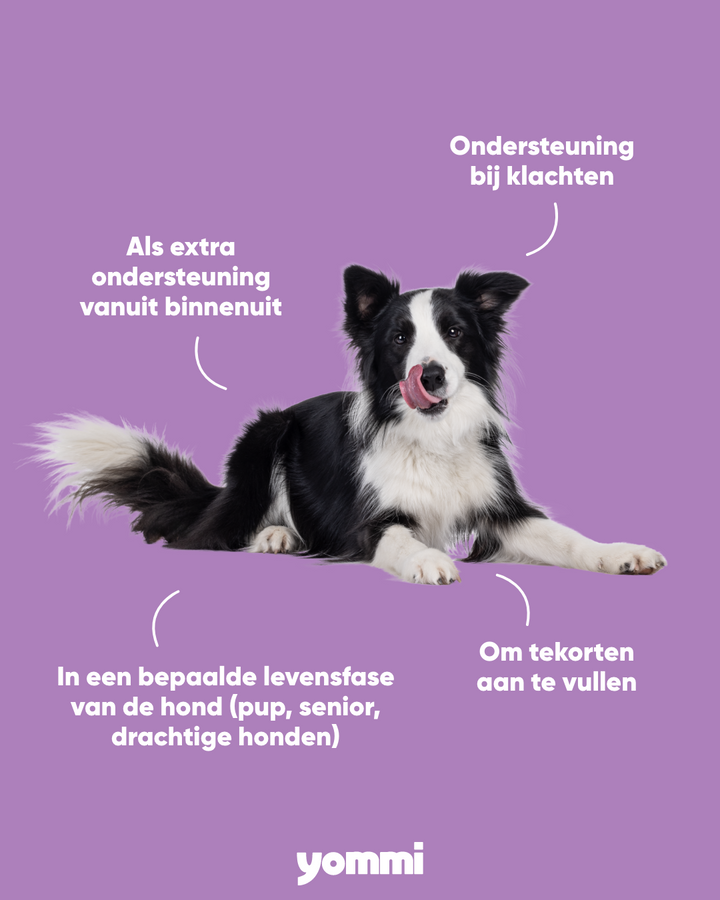Yommi Bye Bugs anti-vlooien- en tekensnoepjes voor honden – foto 3