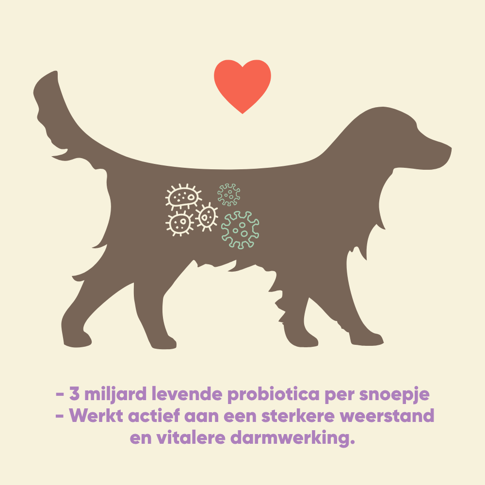 Yommi Happy Tummy probiotica snoepjes voor de spijsvertering van honden – foto 2