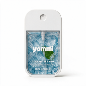 Cool Water & Mint