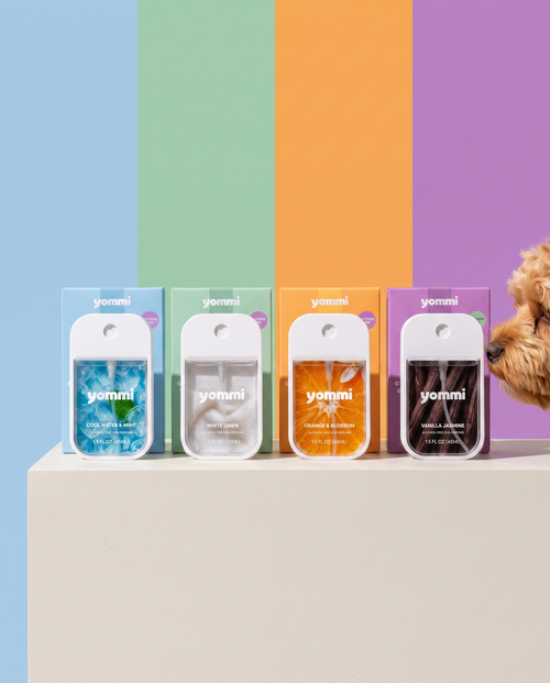 Yommi hondenparfums – alcoholvrije parfum-mist – sfeerbeeld met hond