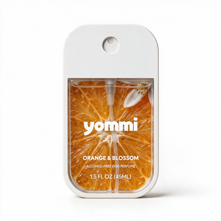 Yommi hondenparfum Orange & Blossom 45 ml – alcoholvrije parfum-mist voor honden